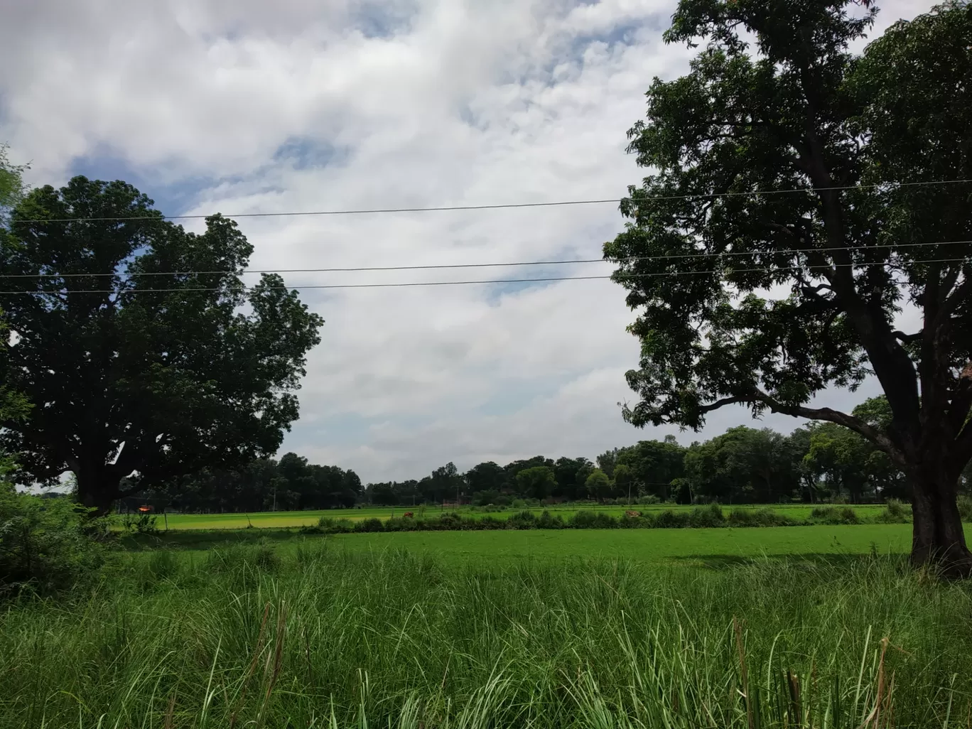 Photo of Bhitaura By अजीत सिंह