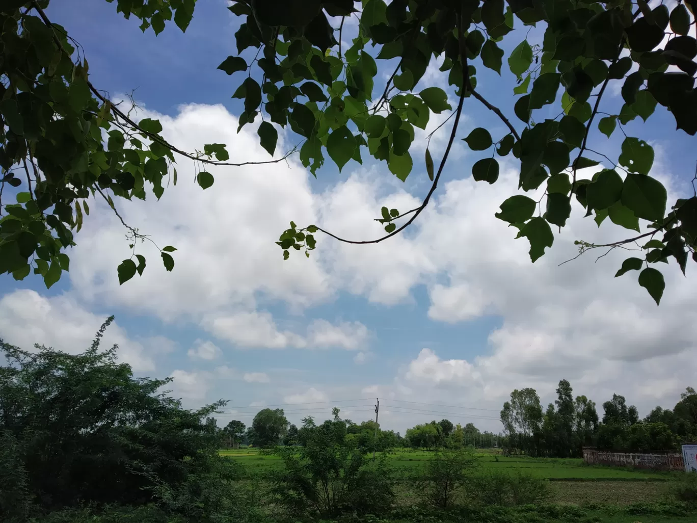 Photo of Bhitaura By अजीत सिंह
