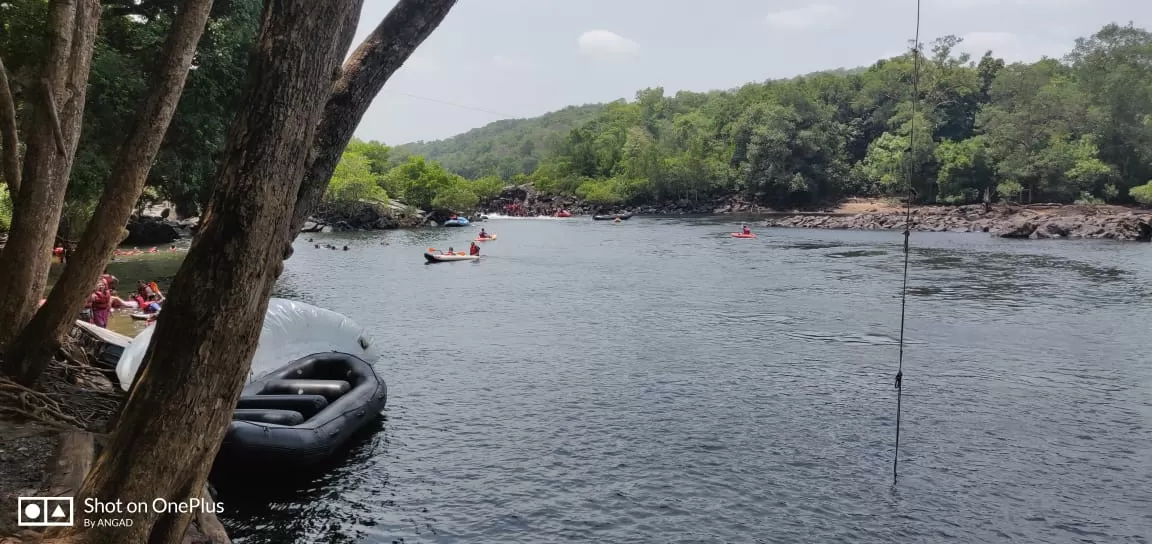 Photo of Dandeli By Varsha Singh
