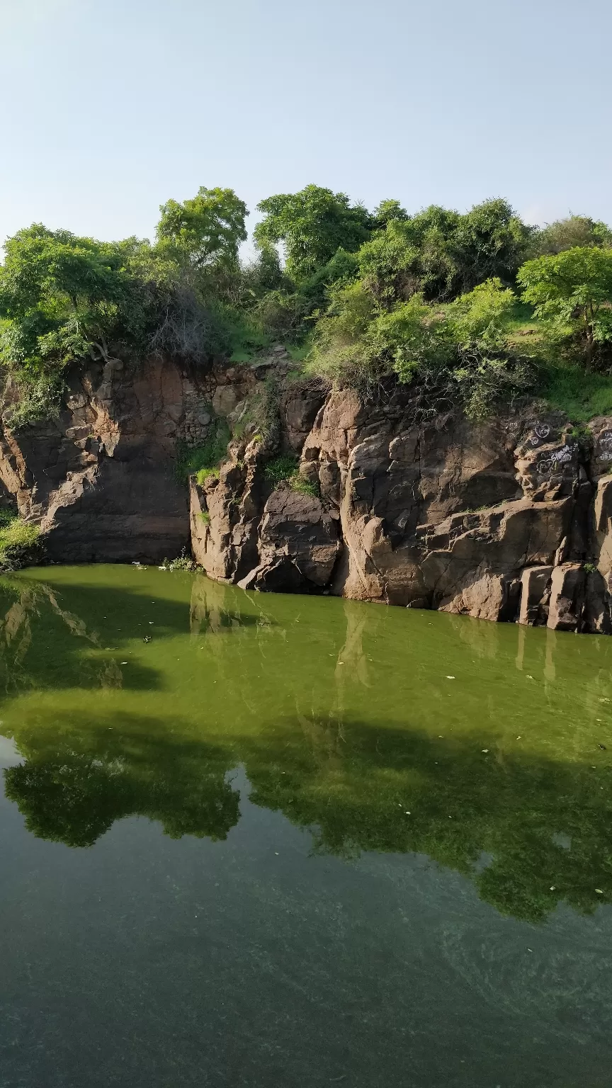 Photo of Nanmangalam Reserved Forest By Sai Prasad