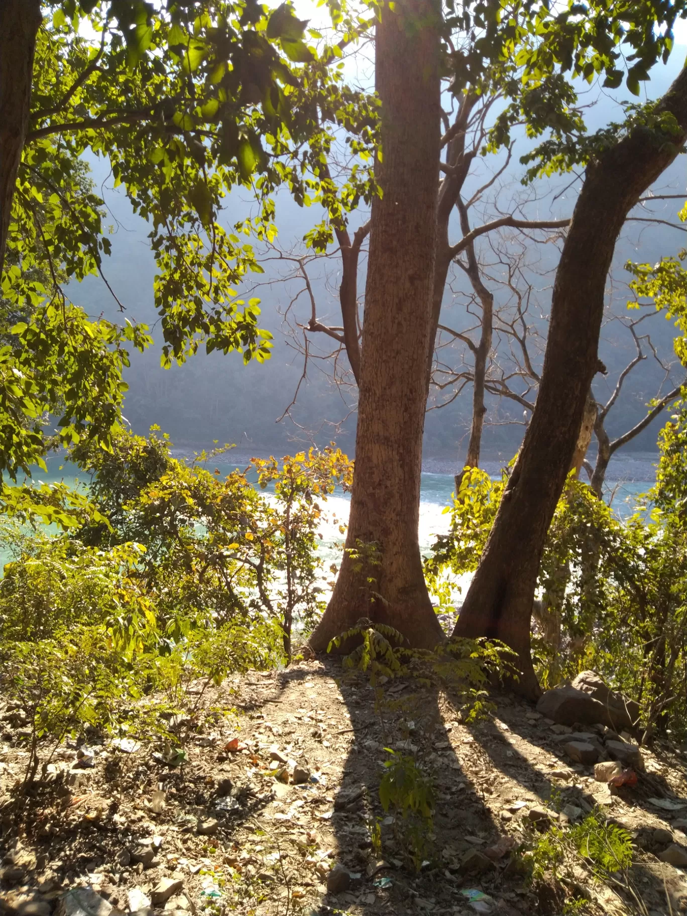 Photo of Rishikesh By Vivek Singh