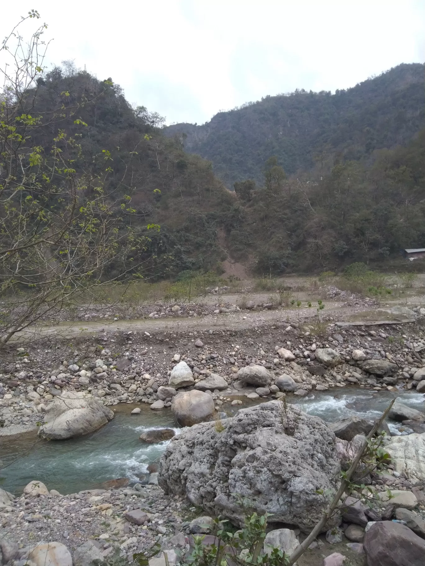 Photo of Rishikesh By Vivek Singh