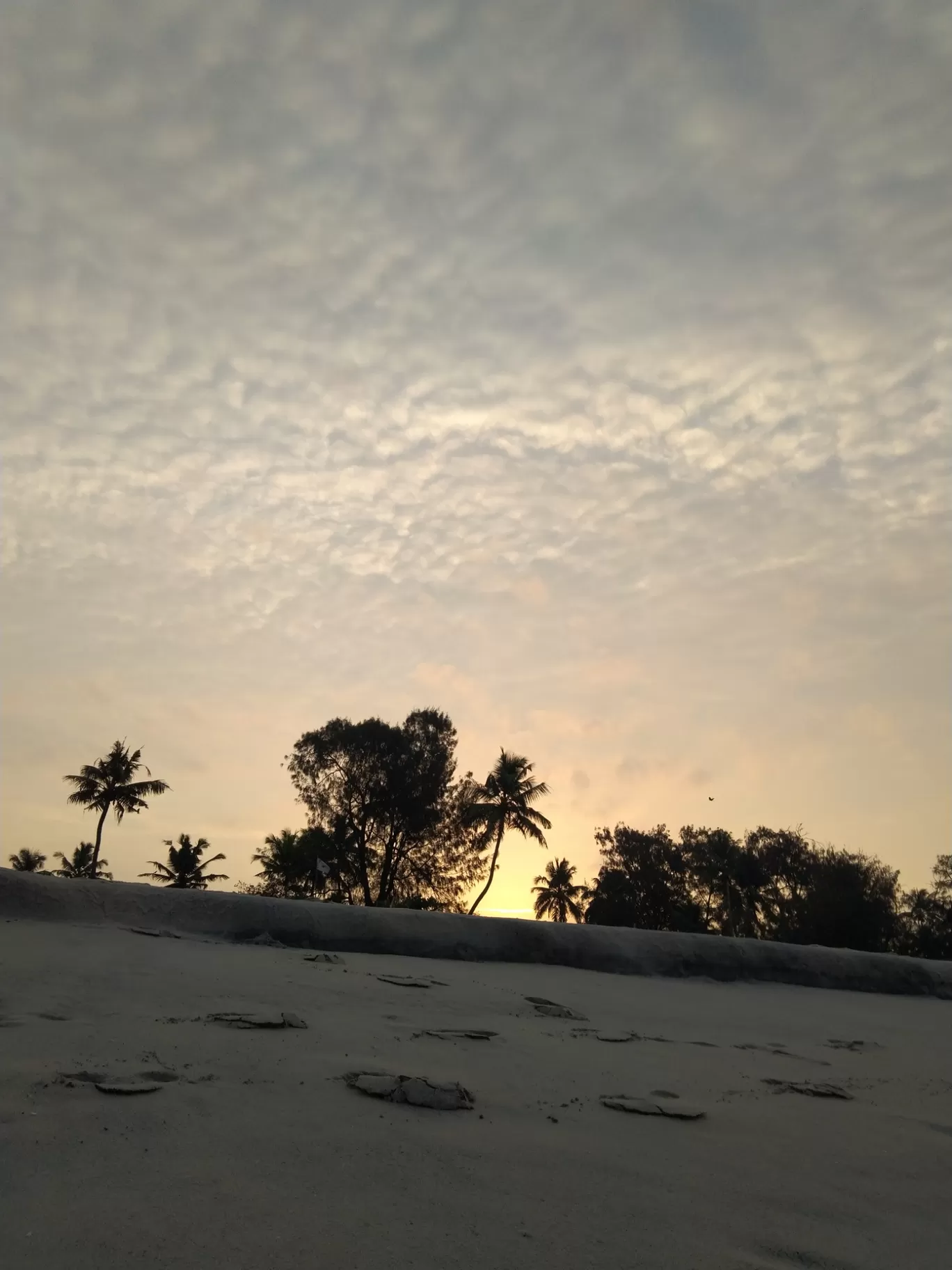 Photo of Alappuzha By Vivek Singh