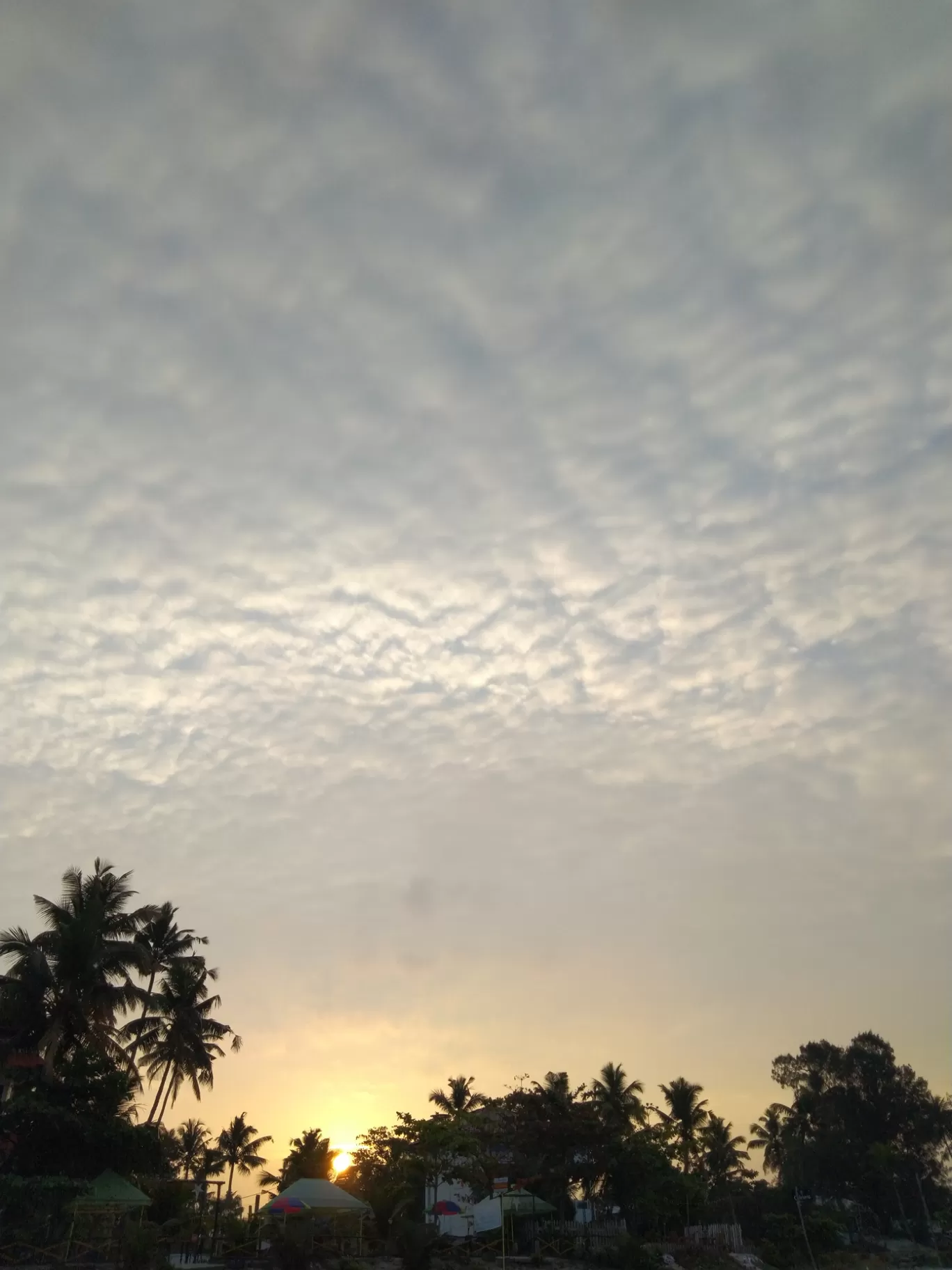 Photo of Alappuzha By Vivek Singh