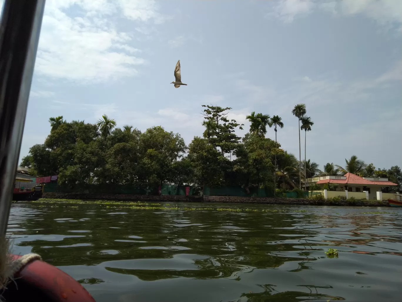 Photo of Alappuzha By Vivek Singh