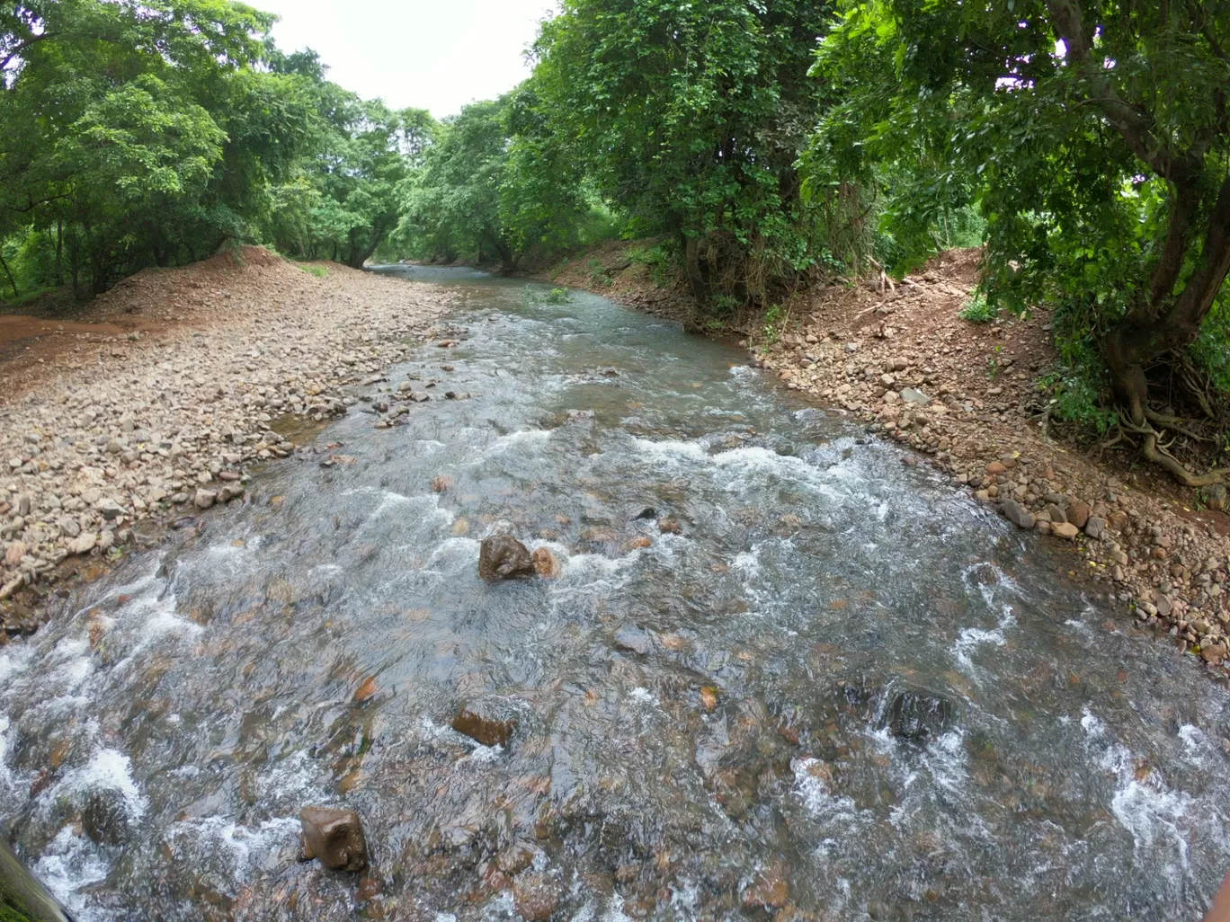 Photo of Sanjay Gandhi National Park - Boating Area By TheIndianChineseGuy