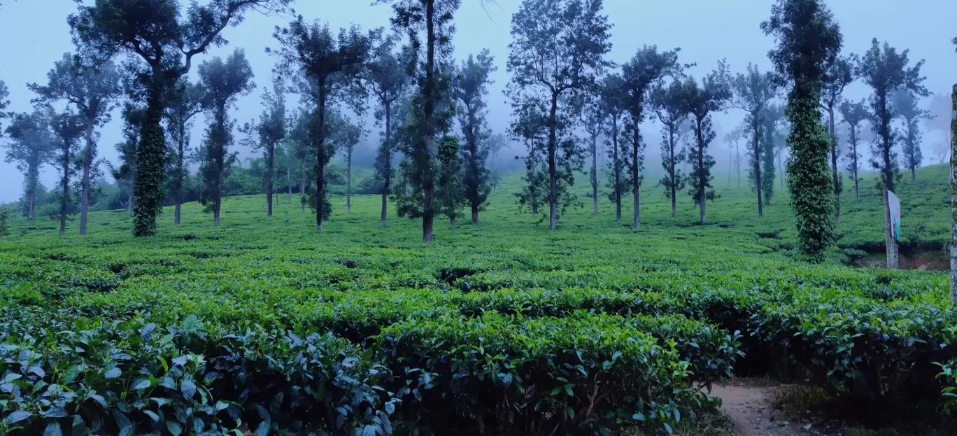 Photo of Ooty By Sourabh D N