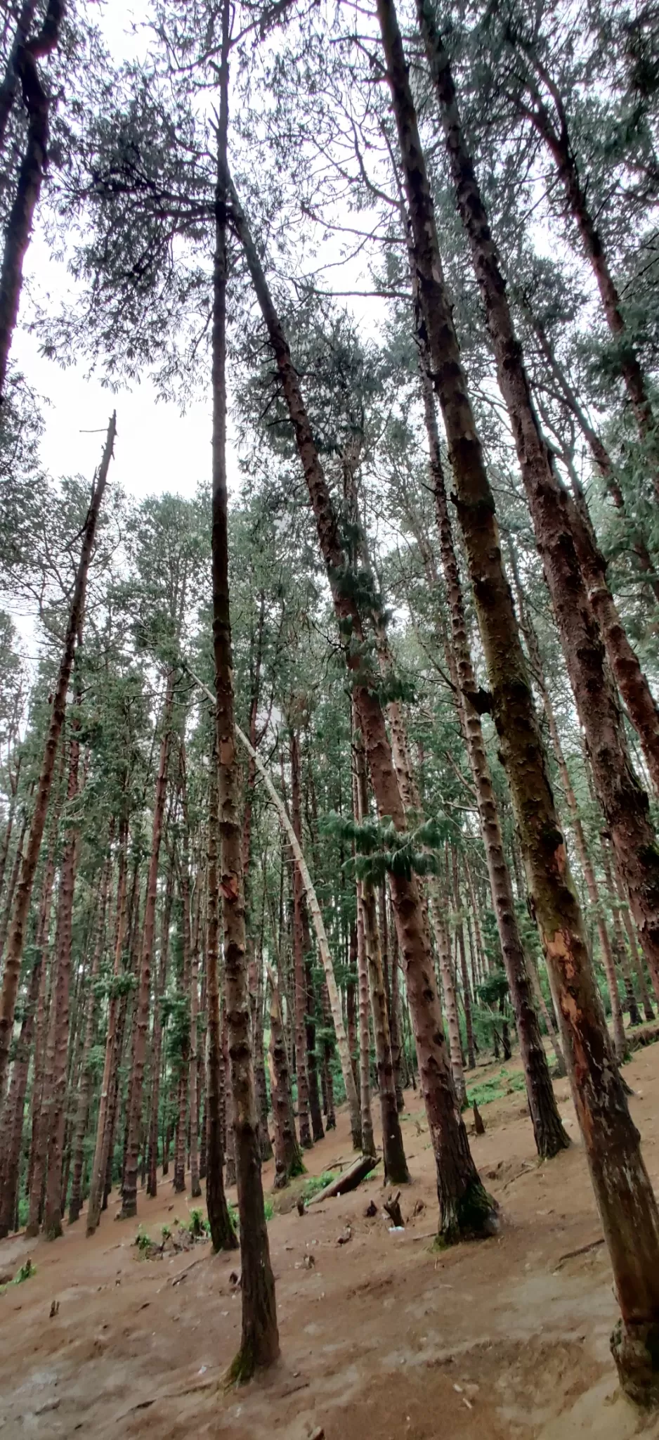 Photo of Ooty By Sourabh D N