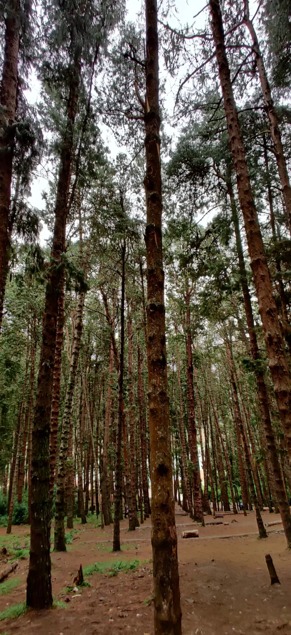 Photo of Ooty By Sourabh D N