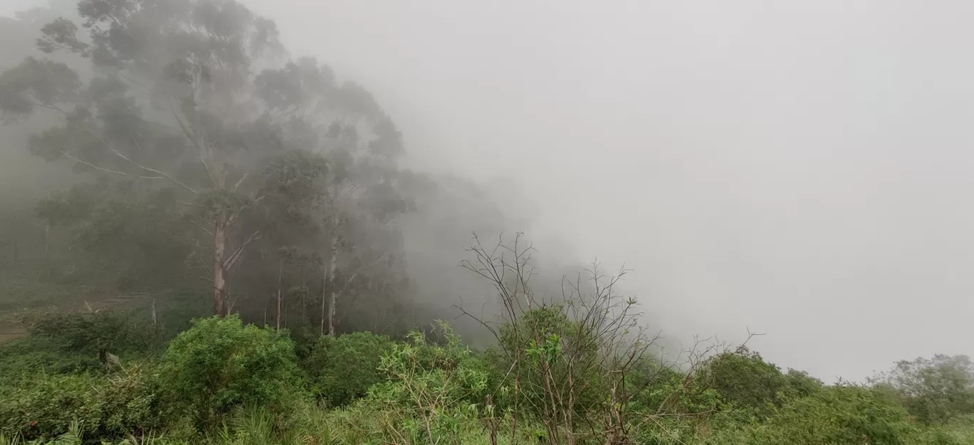 Photo of Ooty By Sourabh D N