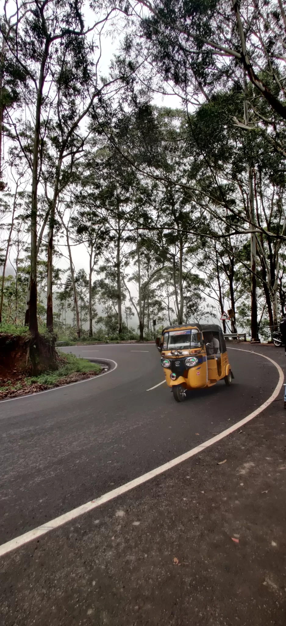 Photo of Ooty By Sourabh D N