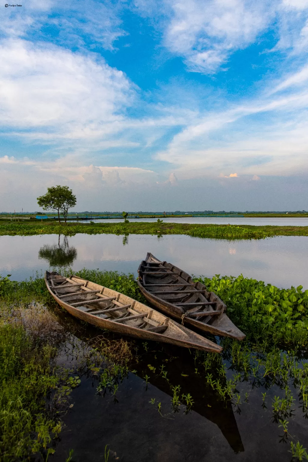 Photo of Canning By Pradipta Sarkar