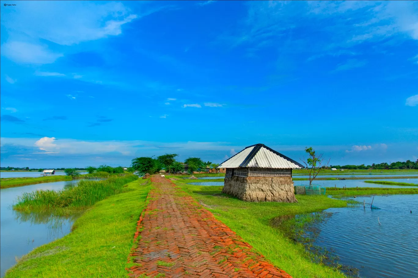 Photo of Canning By Pradipta Sarkar