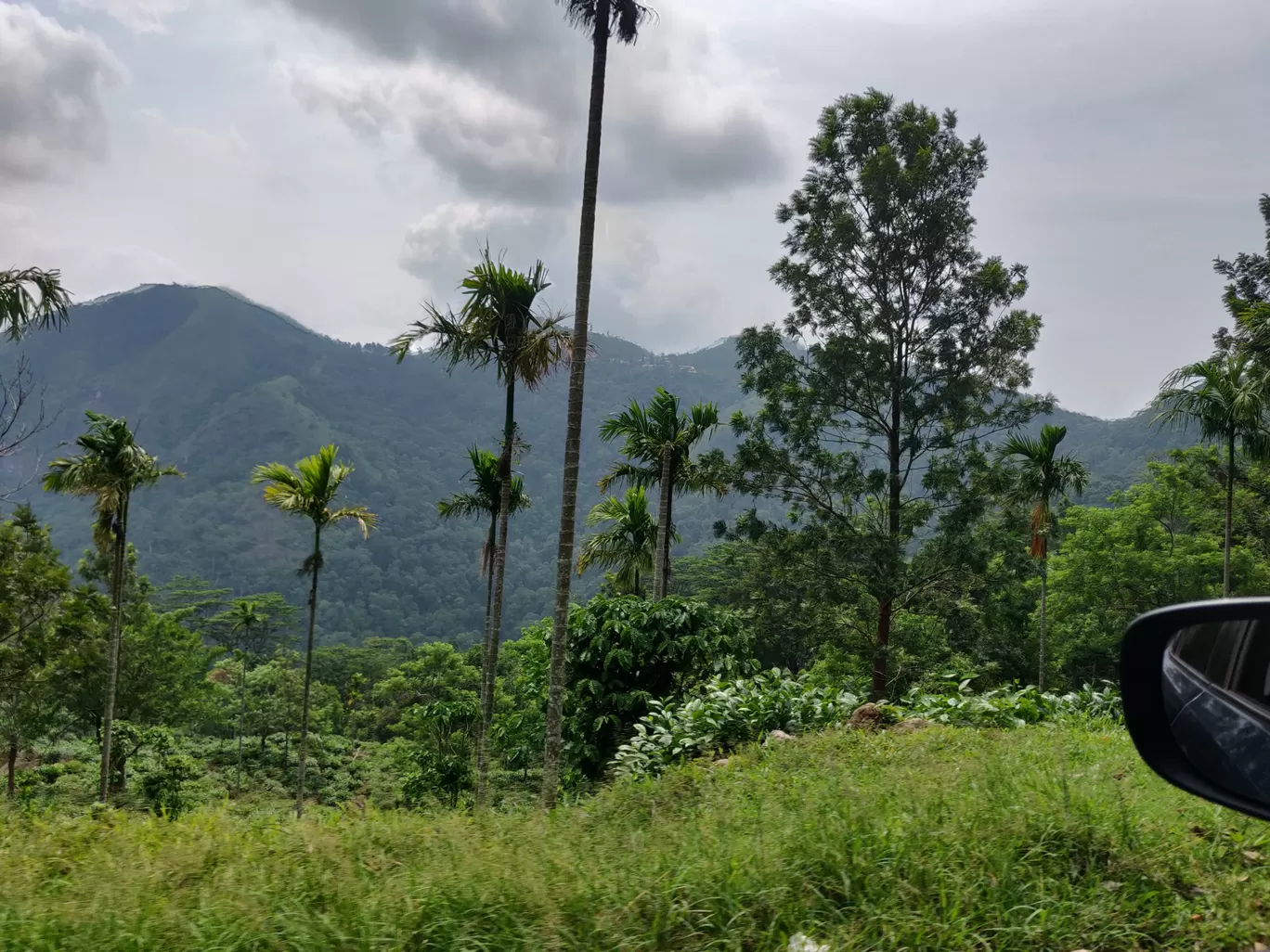 Photo of Ponmudi By Sowrav Sasikumar