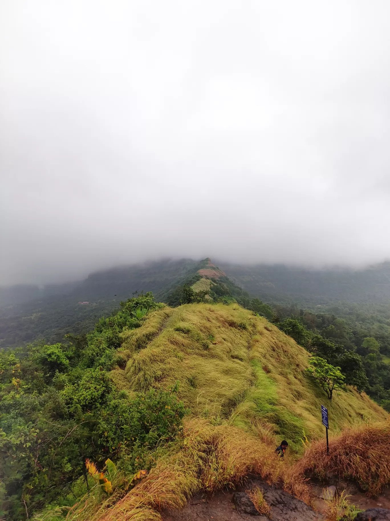 Photo of Tikona Fort By yash pawar