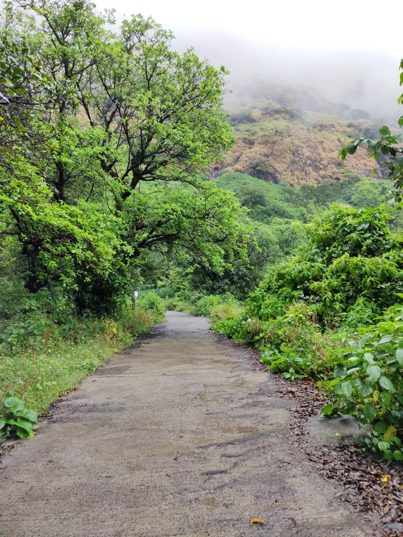 Photo of Tikona Fort By yash pawar