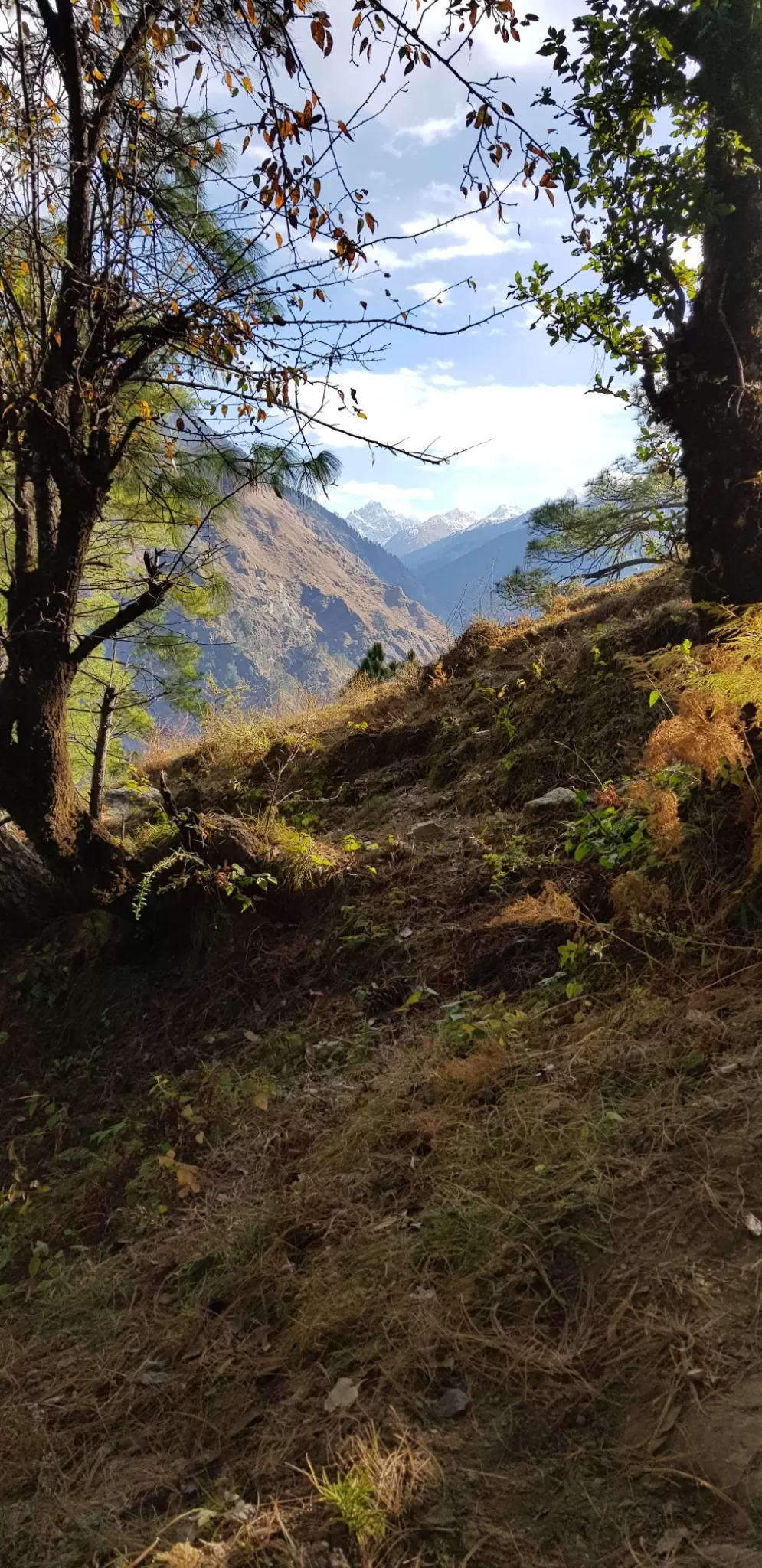 Photo of Phulara Ridge By Vivek Saini