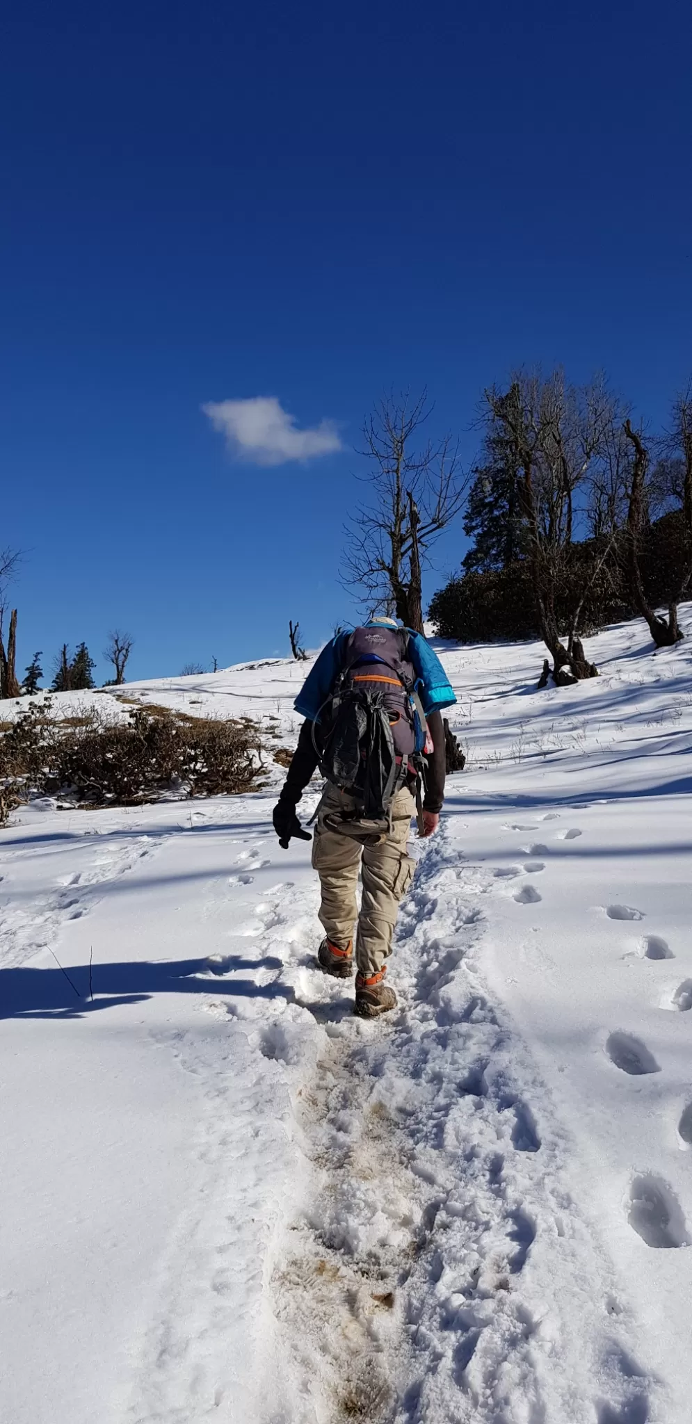 Photo of Phulara Ridge By Vivek Saini