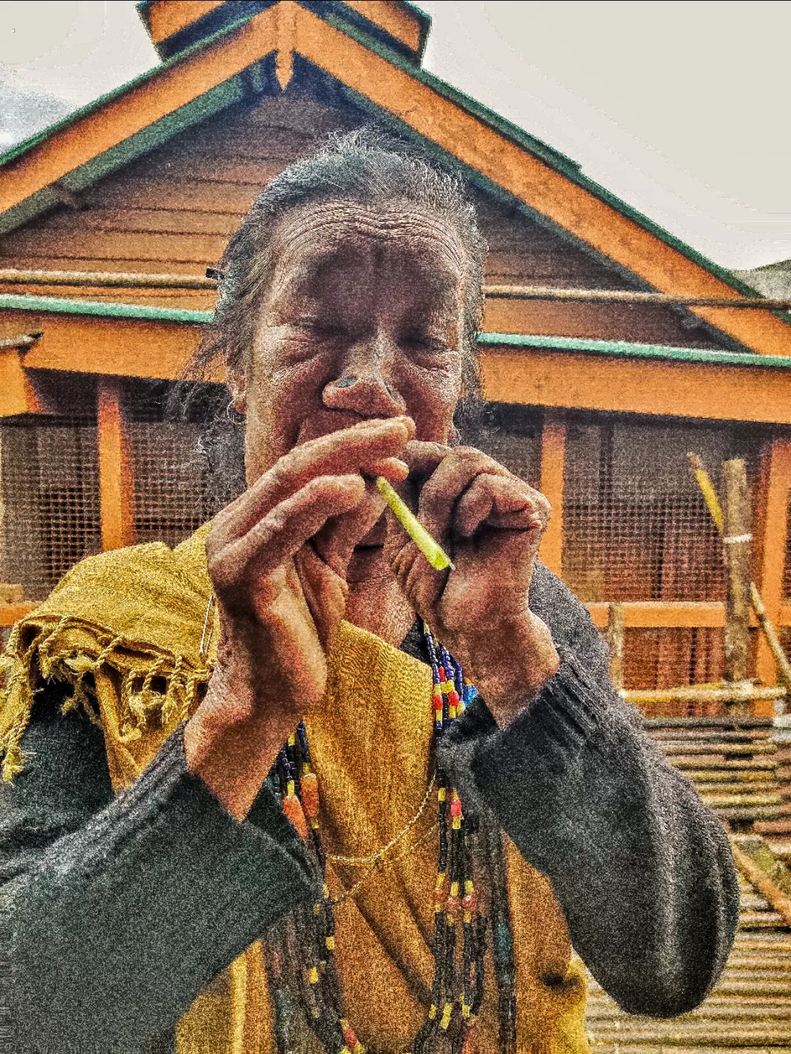 Photo of Ziro By Pooja Sundrani