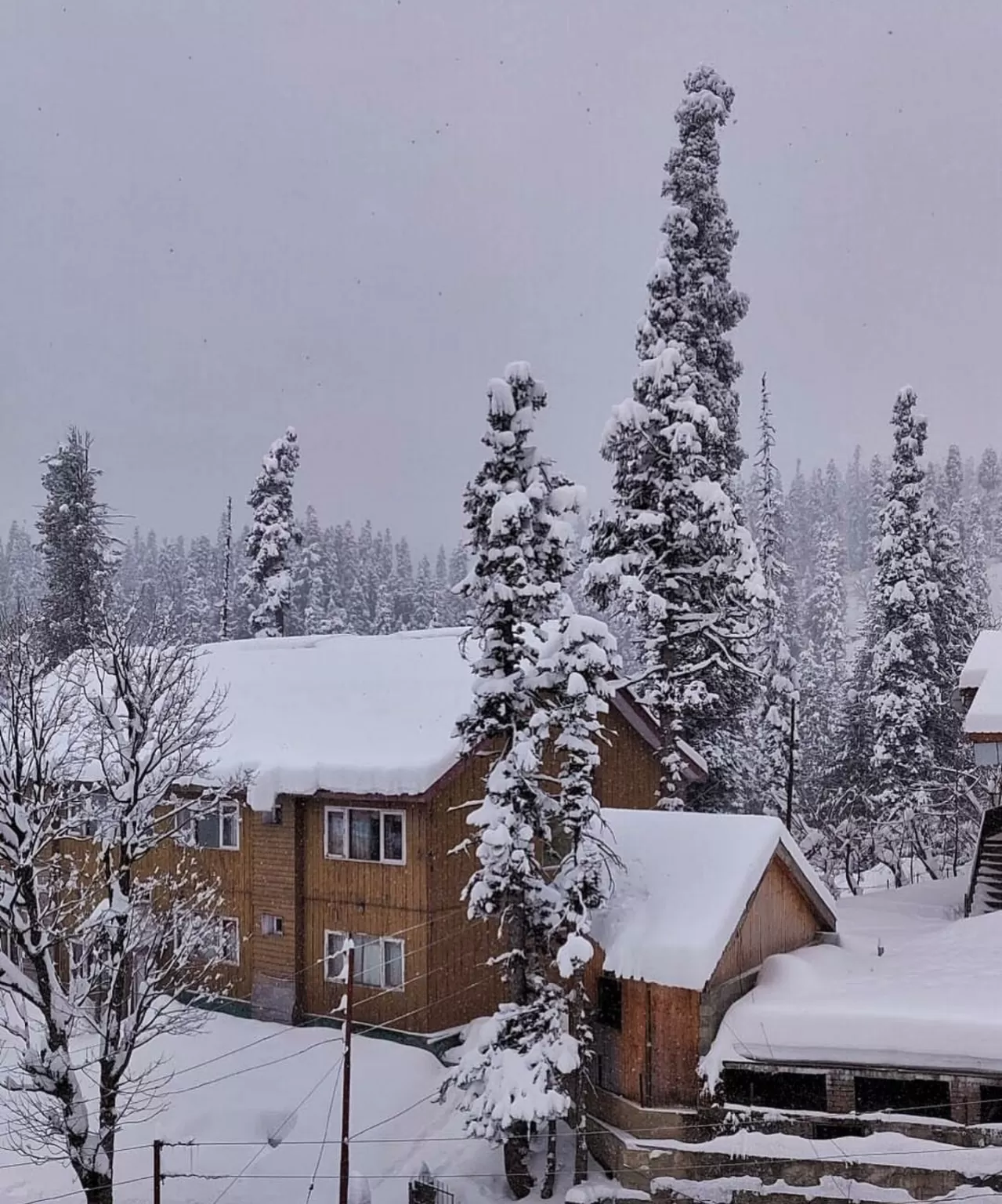 Photo of Hotel Pine Spring By Pooja Sundrani