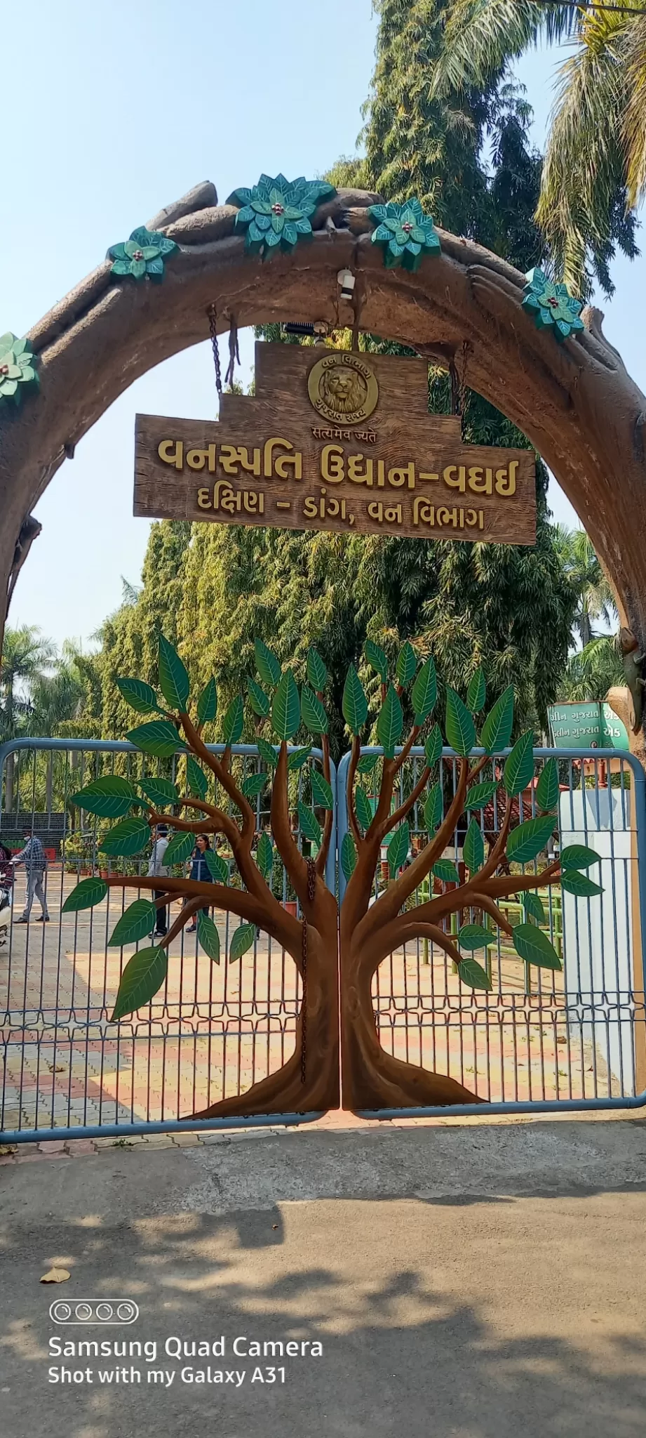 Photo of Waghai Botanical Garden By Rajwinder Kaur