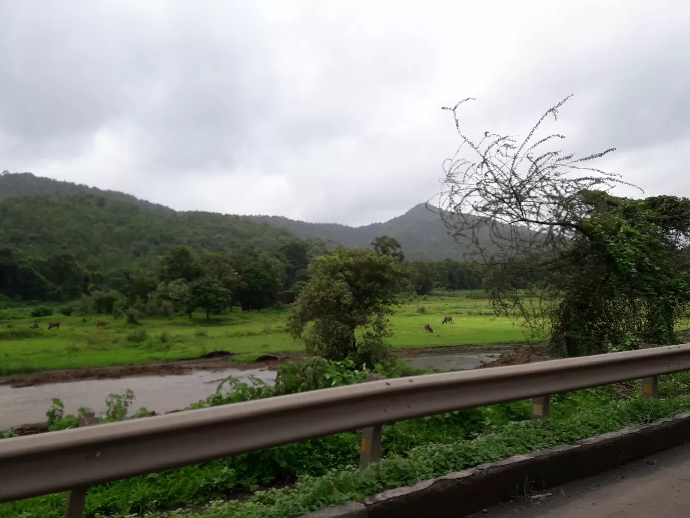 Photo of Vasai-Virar By Rajwinder Kaur