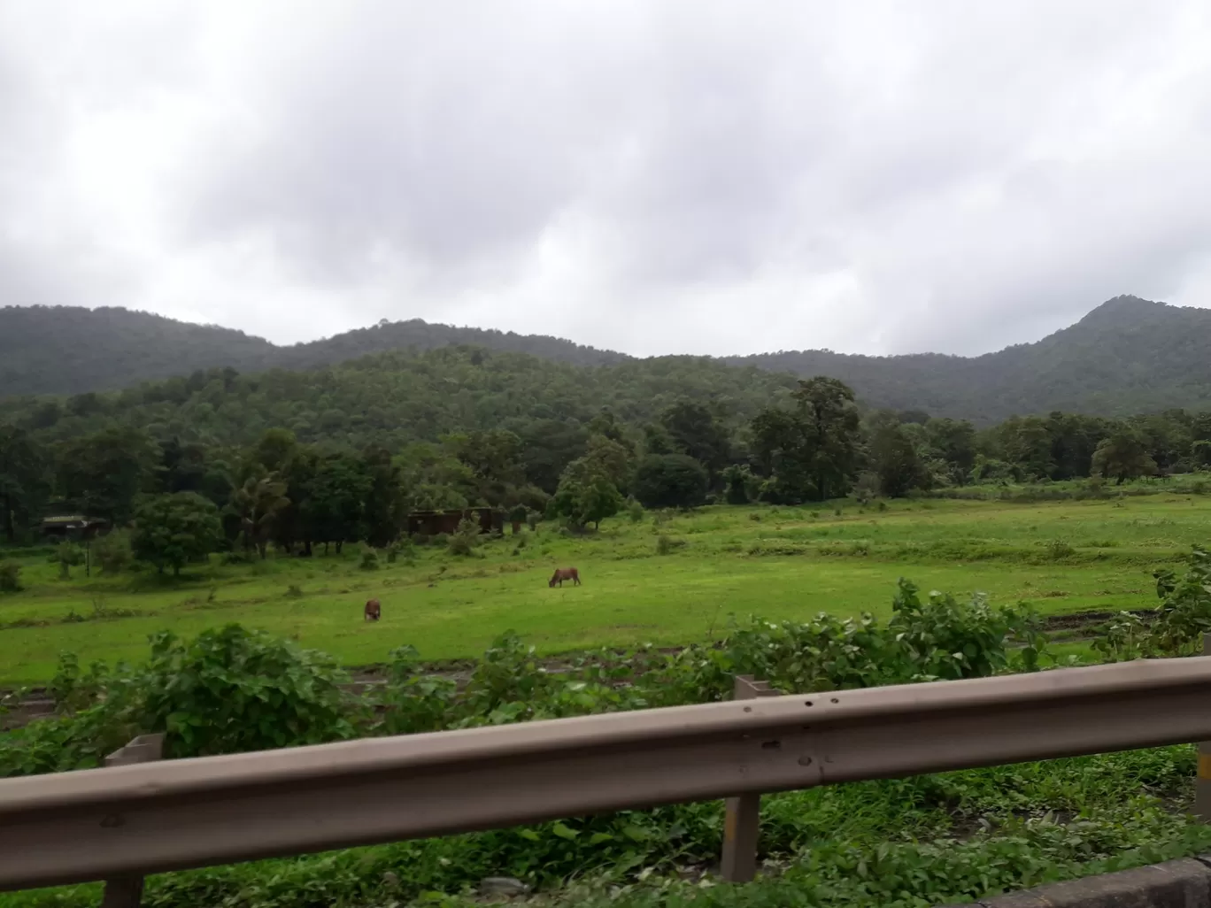 Photo of Vasai-Virar By Rajwinder Kaur