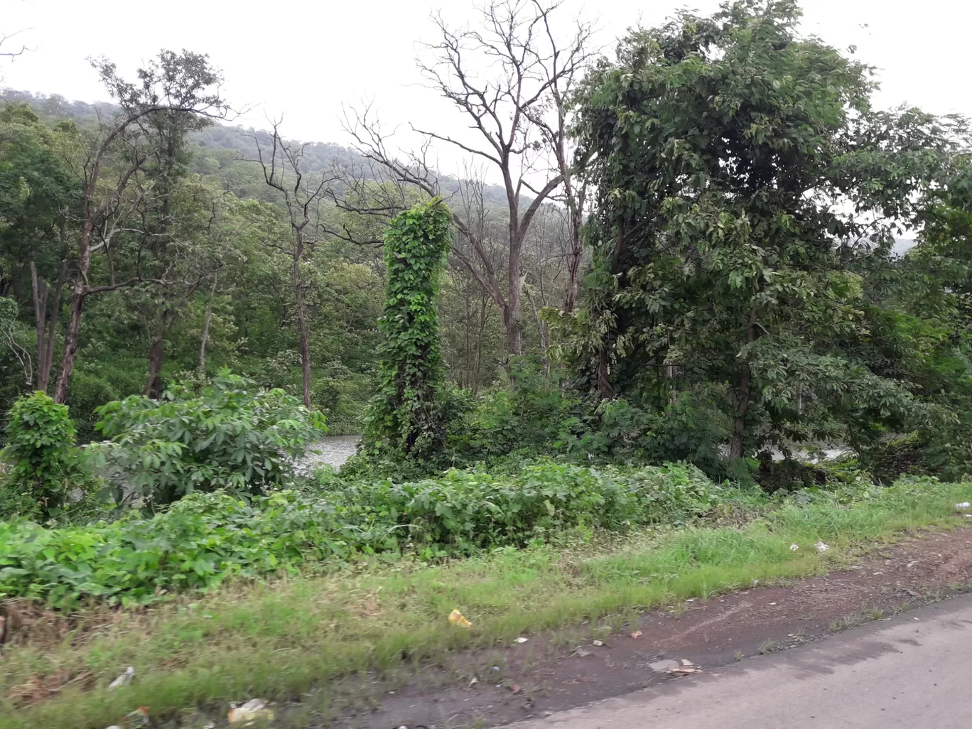 Photo of Vasai-Virar By Rajwinder Kaur