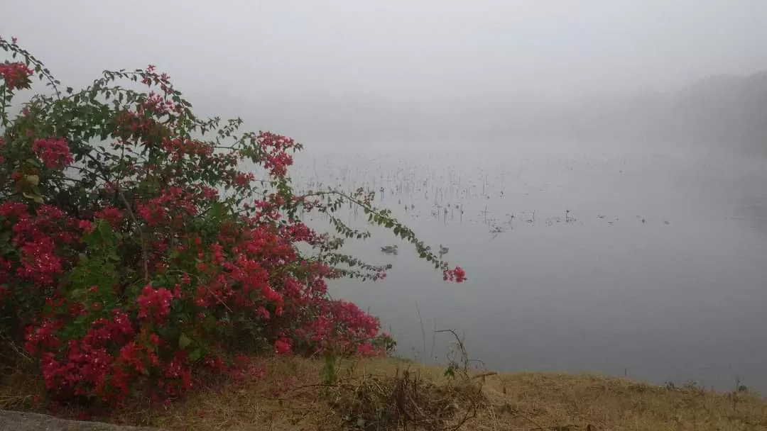 Photo of Chandigarh By Rajwinder Kaur