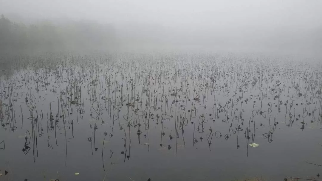 Photo of Chandigarh By Rajwinder Kaur