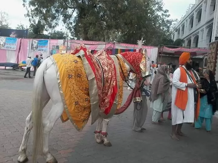 Photo of Nanded By Rajwinder Kaur