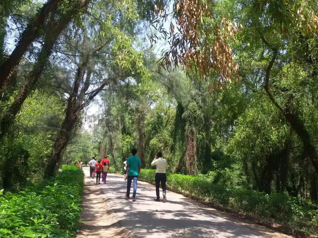 Photo of Chhatbir Zoo By Rajwinder Kaur