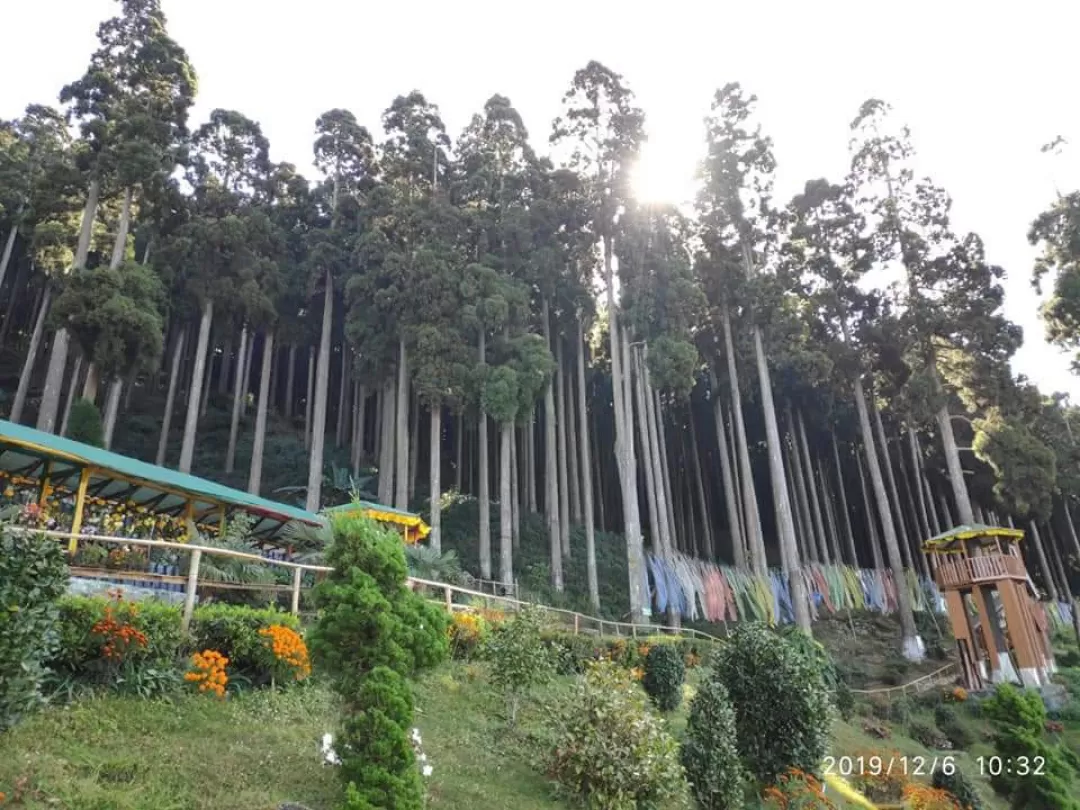 Photo of Chhatbir Zoo By Rajwinder Kaur