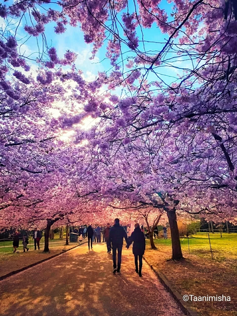 Photo of Frederiksberg By Wanderlust_Dr