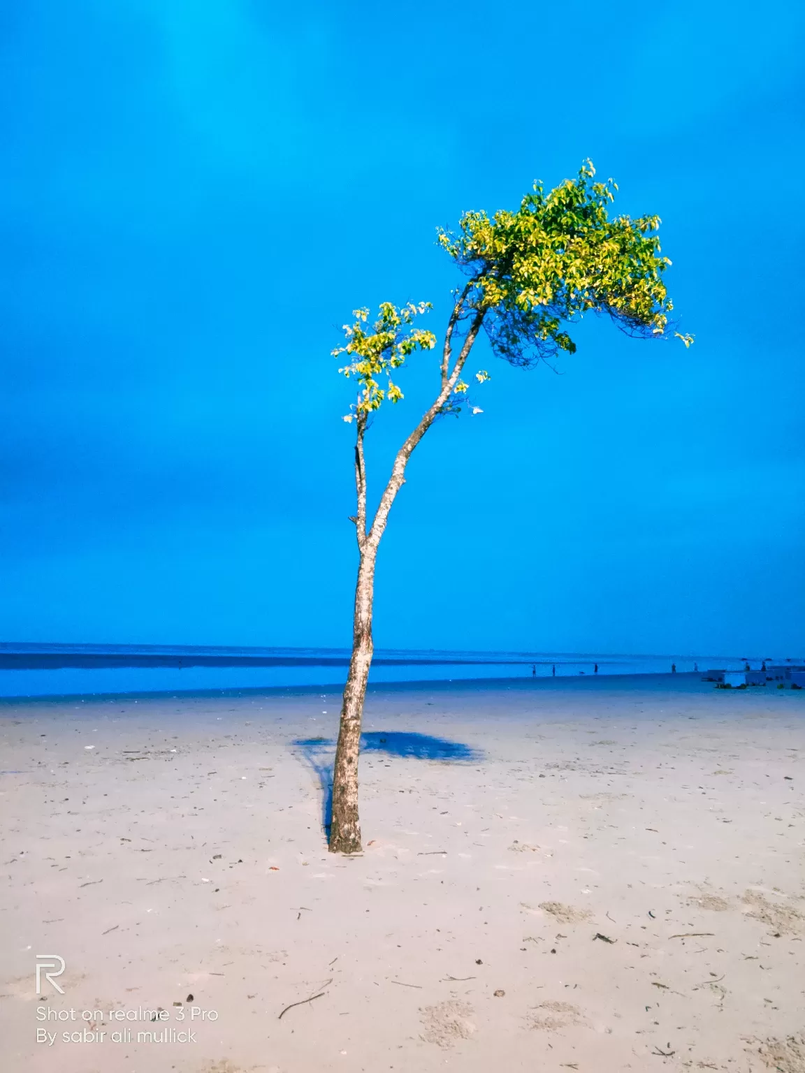 Photo of BAKKHALI SEA BEACH By Sabir Ali