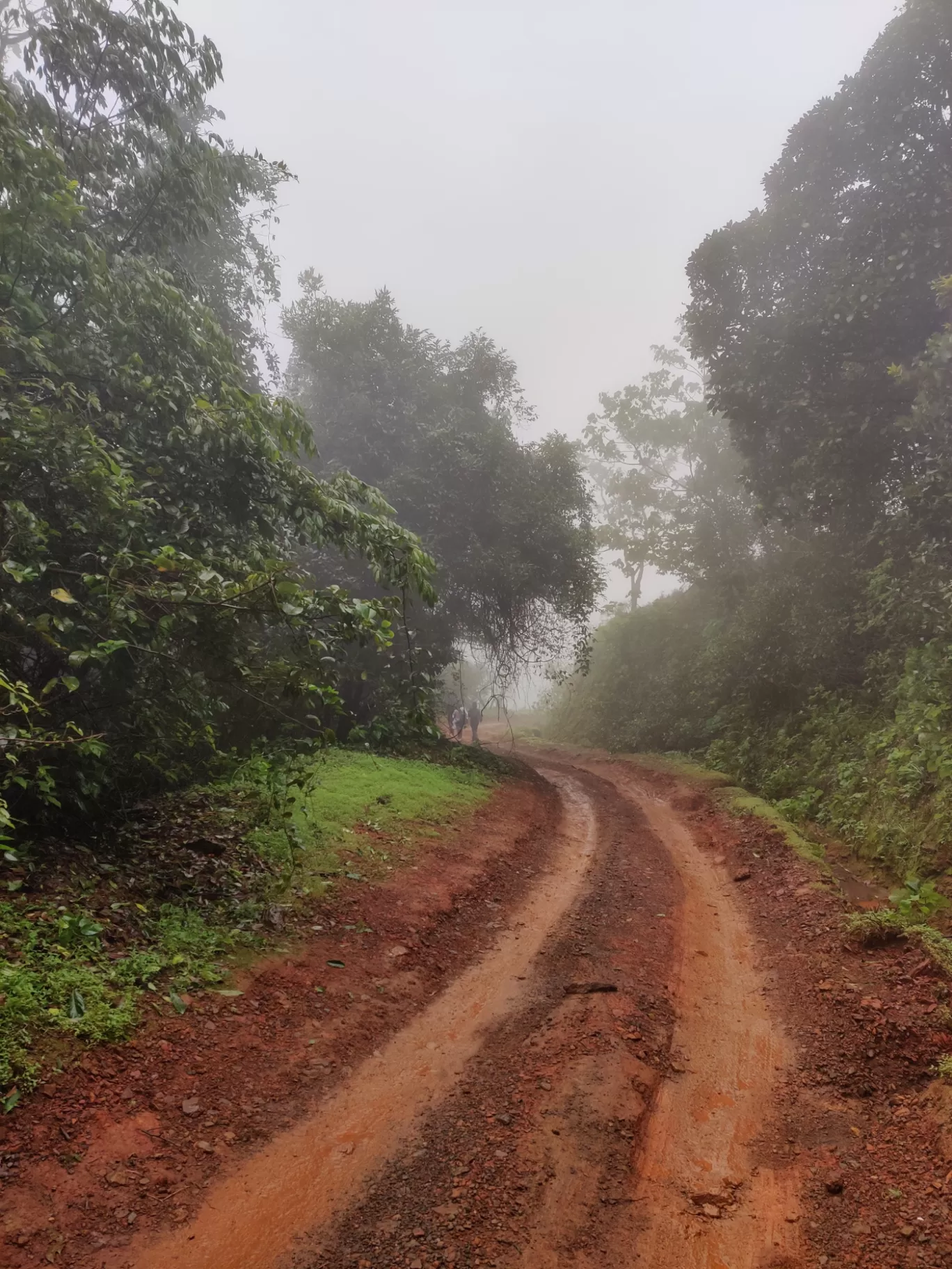 Photo of Kodachadri Trek Trail By Prateek Singhvi