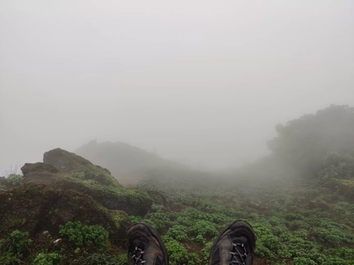 Photo of Kodachadri Trek Trail By Prateek Singhvi