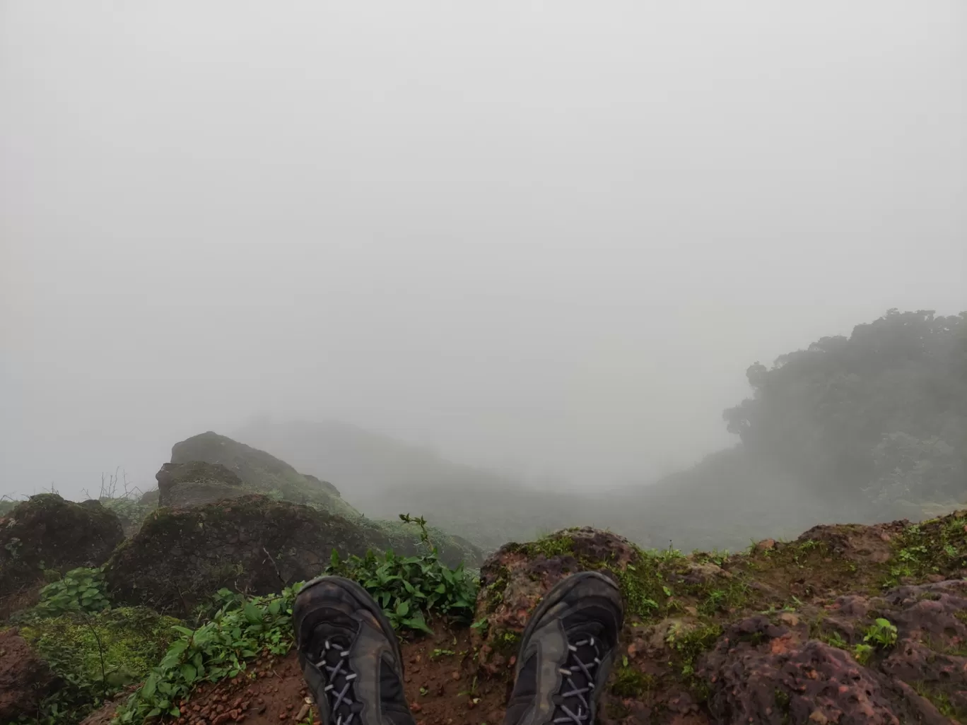 Photo of Kodachadri Trek Trail By Prateek Singhvi