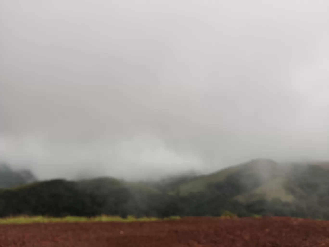 Photo of Kodachadri Trek Trail By Prateek Singhvi