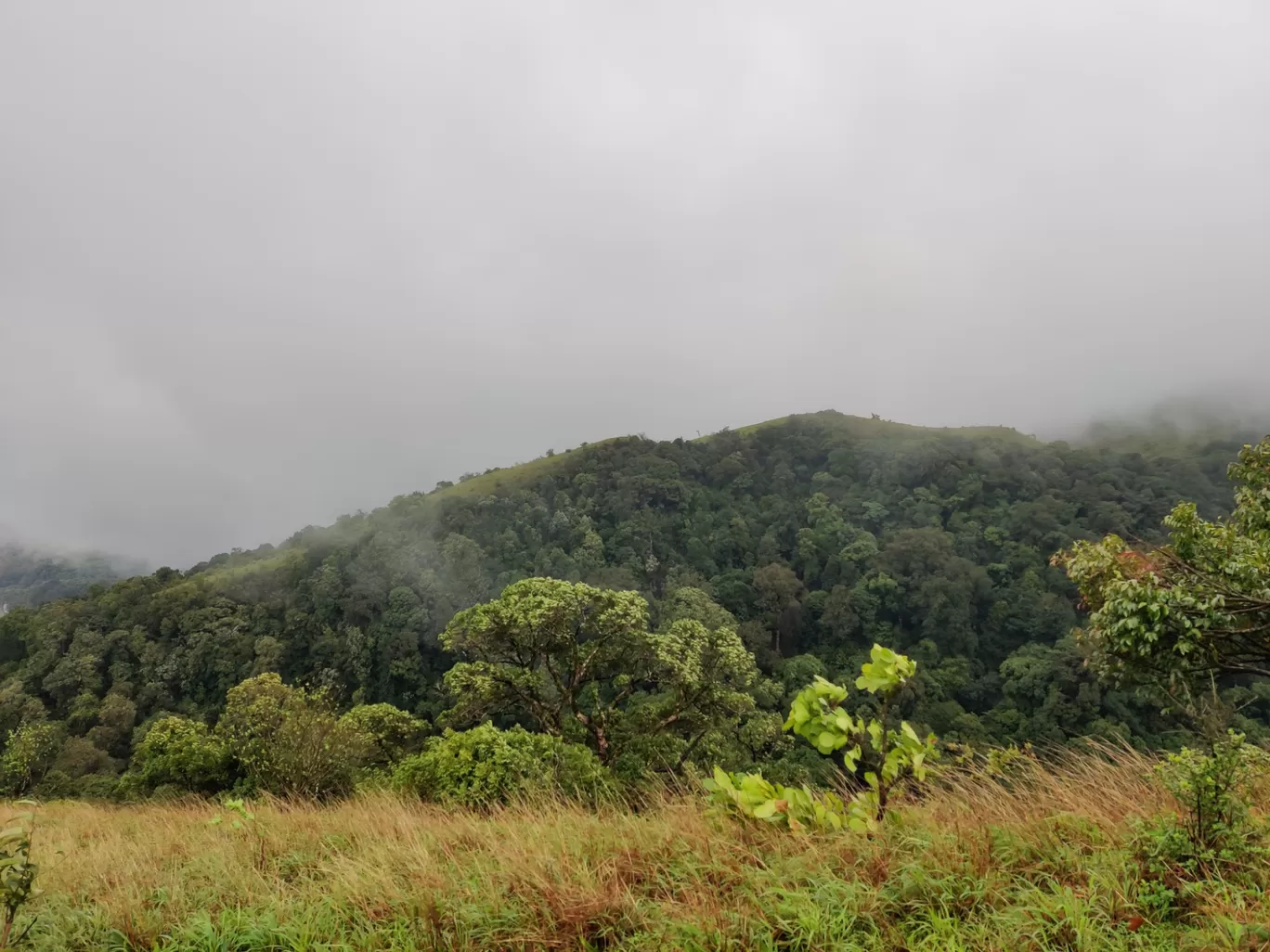 Photo of Kodachadri Trek Trail By Prateek Singhvi