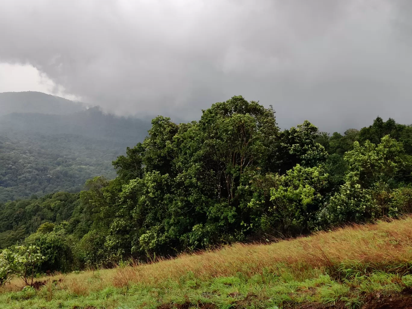 Photo of Kodachadri Trek Trail By Prateek Singhvi