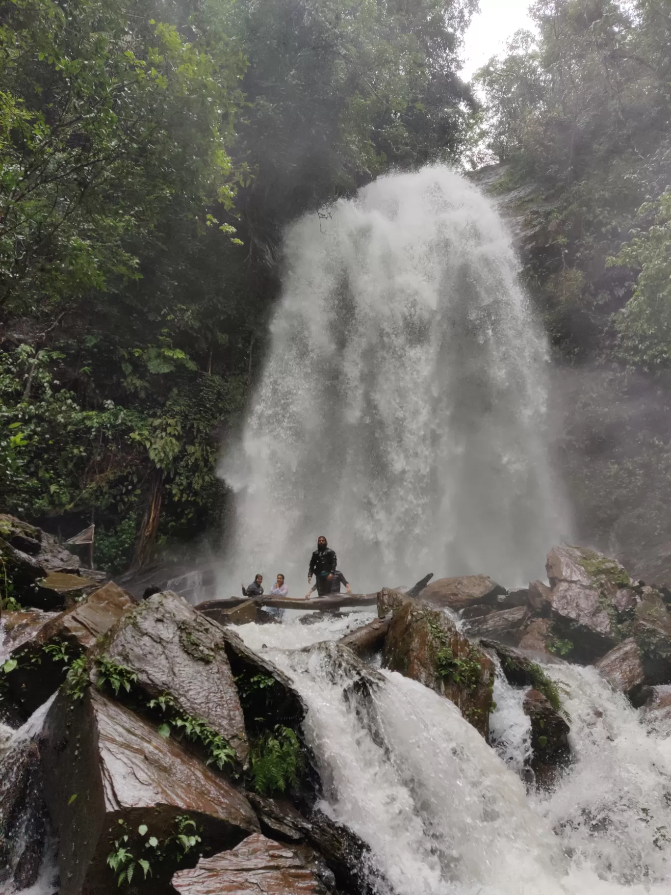 Photo of Kodachadri Trek Trail By Prateek Singhvi