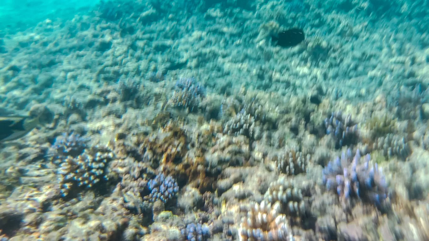Photo of Lakshadweep By Amit Kumar Verma