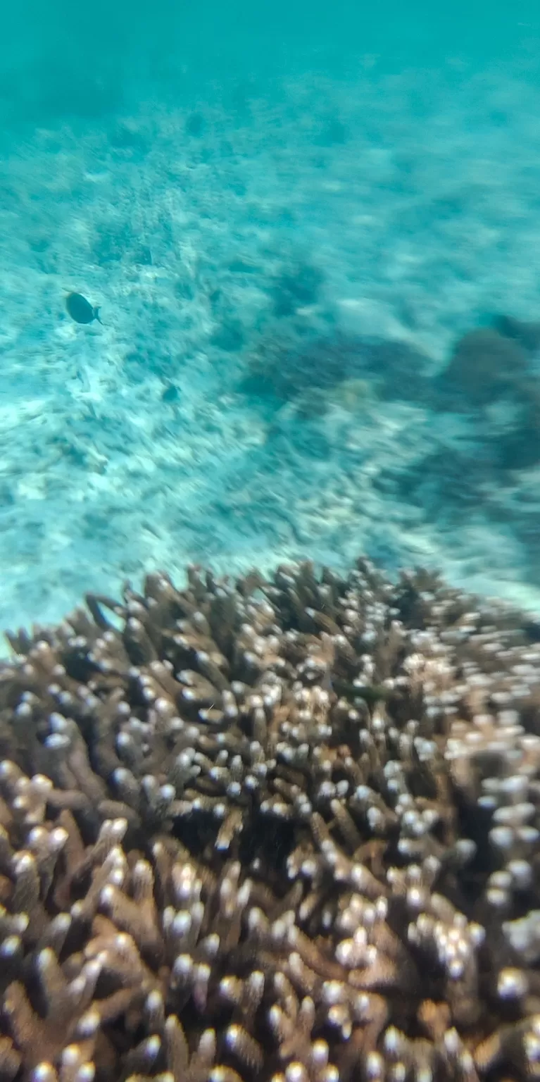 Photo of Lakshadweep By Amit Kumar Verma