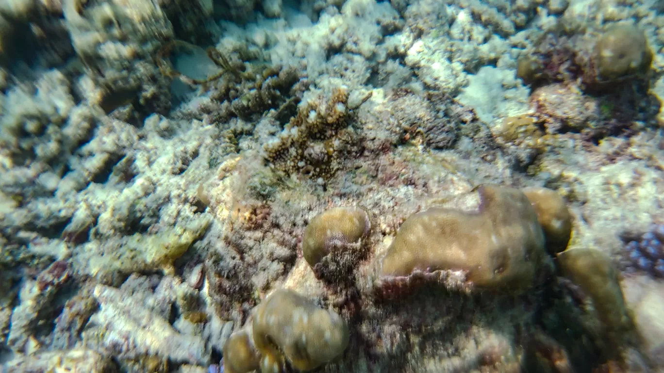 Photo of Lakshadweep By Amit Kumar Verma