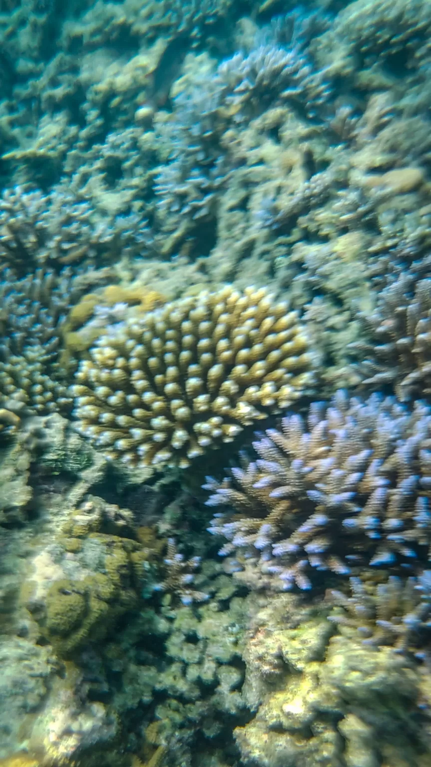 Photo of Lakshadweep By Amit Kumar Verma