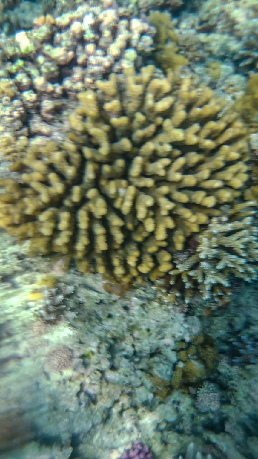 Photo of Lakshadweep By Amit Kumar Verma