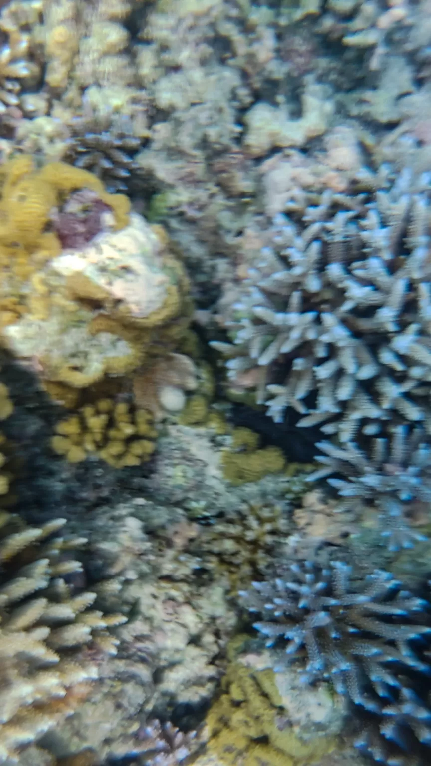 Photo of Lakshadweep By Amit Kumar Verma