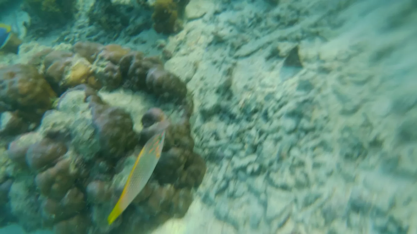 Photo of Lakshadweep By Amit Kumar Verma