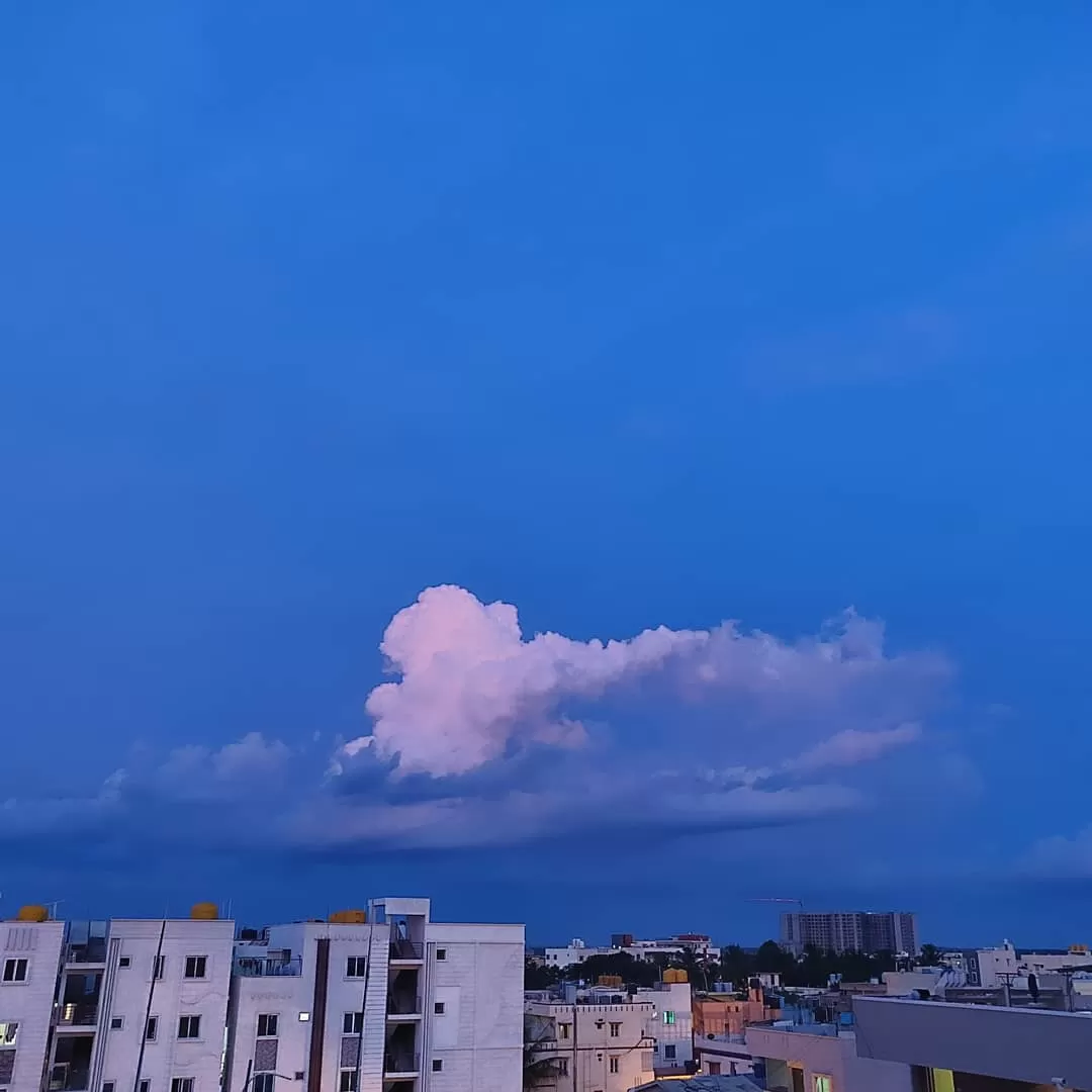 Photo of Bengaluru By Shariq Ali